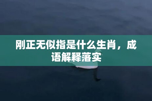 刚正无似指是什么生肖，成语解释落实