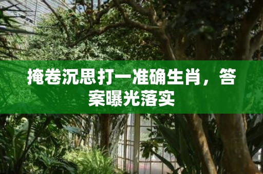 掩卷沉思打一准确生肖，答案曝光落实