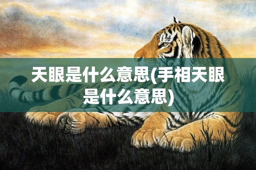 天眼是什么意思(手相天眼是什么意思)