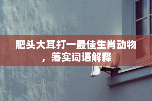 肥头大耳打一最佳生肖动物，落实词语解释