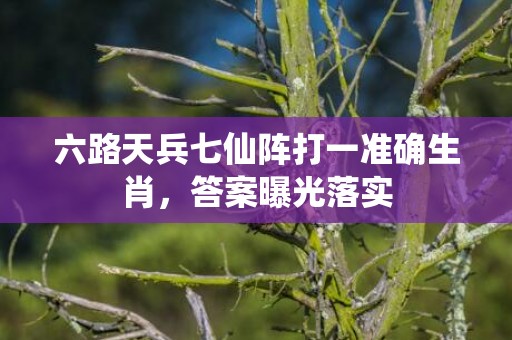 六路天兵七仙阵打一准确生肖，答案曝光落实