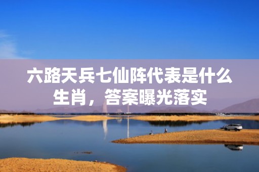 六路天兵七仙阵代表是什么生肖，答案曝光落实