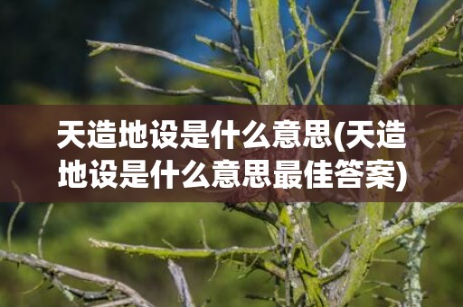 天造地设是什么意思(天造地设是什么意思最佳答案)