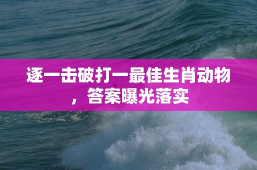 逐一击破打一最佳生肖动物，答案曝光落实