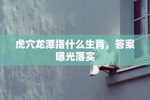 虎穴龙潭指什么生肖，答案曝光落实