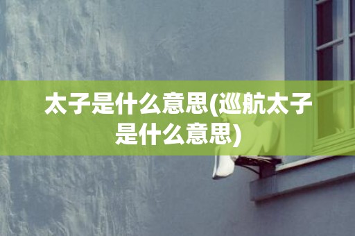 太子是什么意思(巡航太子是什么意思)