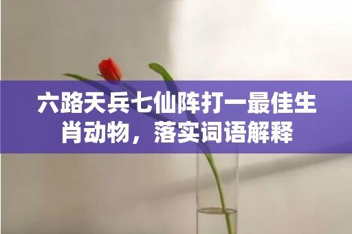 六路天兵七仙阵打一最佳生肖动物，落实词语解释