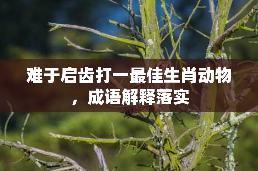 难于启齿打一最佳生肖动物，成语解释落实