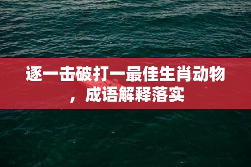 逐一击破打一最佳生肖动物，成语解释落实