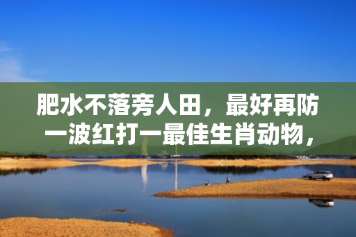 肥水不落旁人田，最好再防一波红打一最佳生肖动物，落实词语解释