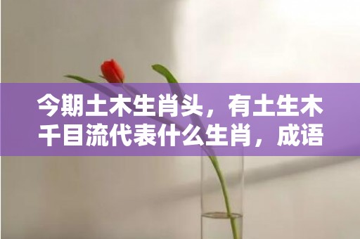 今期土木生肖头，有土生木千目流代表什么生肖，成语解释落实