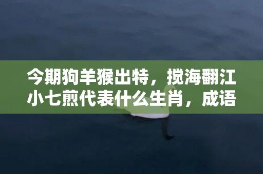 今期狗羊猴出特，搅海翻江小七煎代表什么生肖，成语解释落实