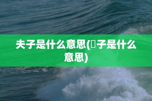 夫子是什么意思(伕子是什么意思)