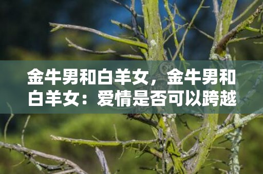 金牛男和白羊女，金牛男和白羊女：爱情是否可以跨越星座？