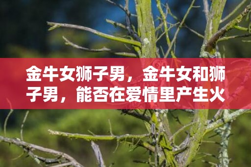 金牛女狮子男，金牛女和狮子男，能否在爱情里产生火花？