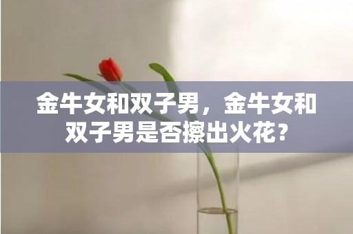 金牛女和双子男，金牛女和双子男是否擦出火花？