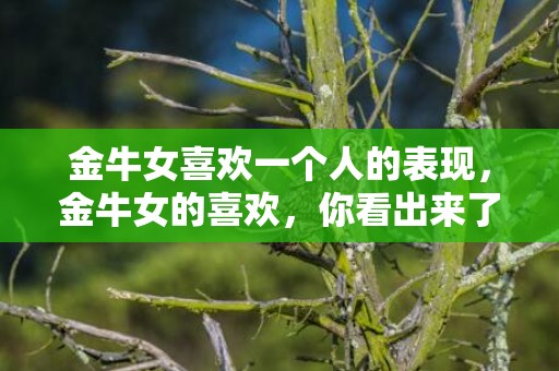 金牛女喜欢一个人的表现，金牛女的喜欢，你看出来了吗？
