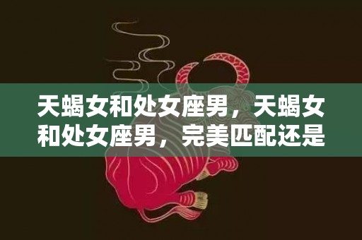 天蝎女和处女座男，天蝎女和处女座男，完美匹配还是两极分化？