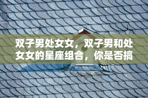双子男处女女，双子男和处女女的星座组合，你是否搞懂？