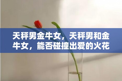 天秤男金牛女，天秤男和金牛女，能否碰撞出爱的火花？
