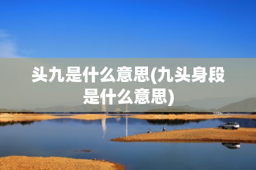 头九是什么意思(九头身段是什么意思)
