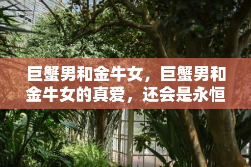 巨蟹男和金牛女，巨蟹男和金牛女的真爱，还会是永恒吗？