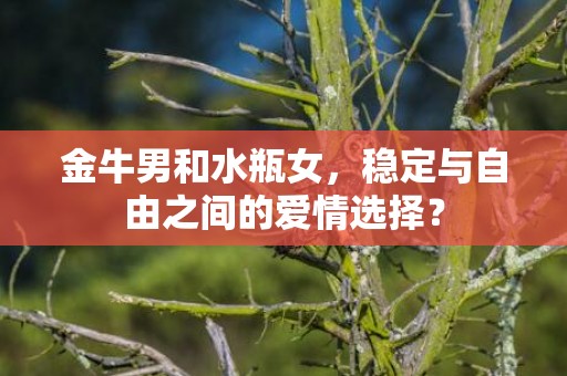 金牛男和水瓶女，稳定与自由之间的爱情选择？