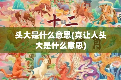 头大是什么意思(真让人头大是什么意思)