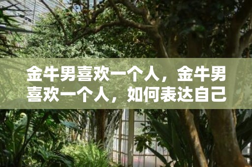 金牛男喜欢一个人，金牛男喜欢一个人，如何表达自己的感情？