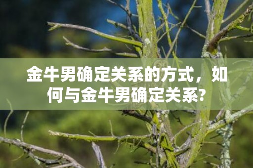 金牛男确定关系的方式，如何与金牛男确定关系?