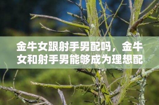 金牛女跟射手男配吗，金牛女和射手男能够成为理想配对吗？
