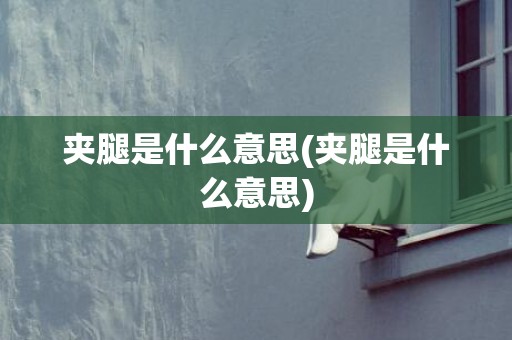 夹腿是什么意思(夹腿是什么意思)