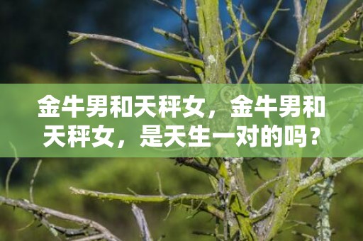 金牛男和天秤女，金牛男和天秤女，是天生一对的吗？