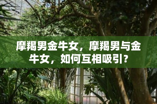 摩羯男金牛女，摩羯男与金牛女，如何互相吸引？