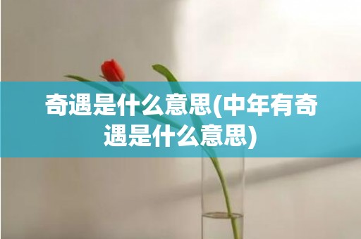 奇遇是什么意思(中年有奇遇是什么意思)