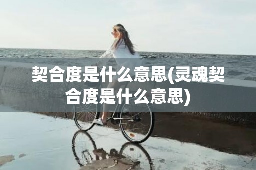 契合度是什么意思(灵魂契合度是什么意思)