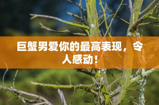 巨蟹男爱你的最高表现，令人感动！
