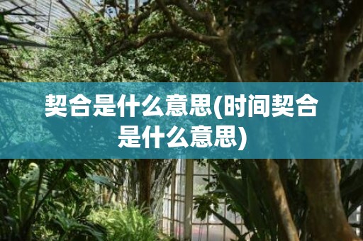 契合是什么意思(时间契合是什么意思)