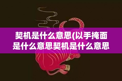 契机是什么意思(以手掩面是什么意思契机是什么意思)