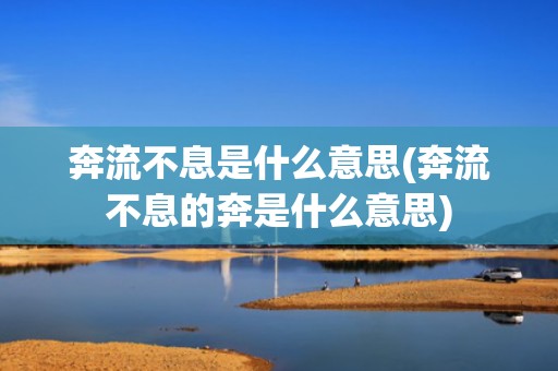 奔流不息是什么意思(奔流不息的奔是什么意思)