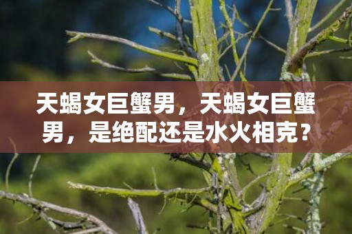 天蝎女巨蟹男，天蝎女巨蟹男，是绝配还是水火相克？