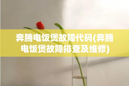 奔腾电饭煲故障代码(奔腾电饭煲故障排查及维修)