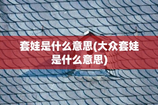 套娃是什么意思(大众套娃是什么意思)