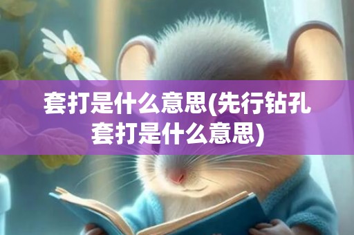 套打是什么意思(先行钻孔套打是什么意思)