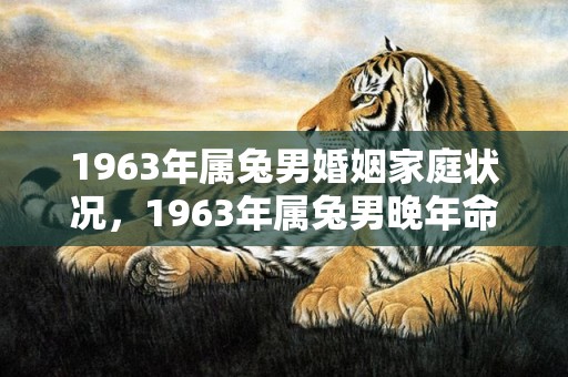 1963年属兔男婚姻家庭状况，1963年属兔男晚年命运如何