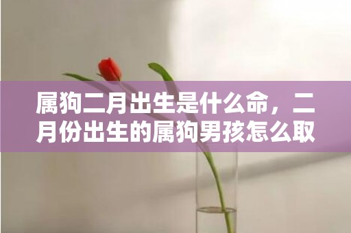 属狗二月出生是什么命，二月份出生的属狗男孩怎么取名字