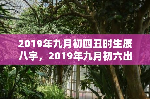 2019年九月初四丑时生辰八字，2019年九月初六出生的男孩如何起名字，五行属什么