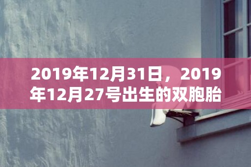 2019年12月31日，2019年12月27号出生的双胞胎男孩起什么名字比较好，五行属什么