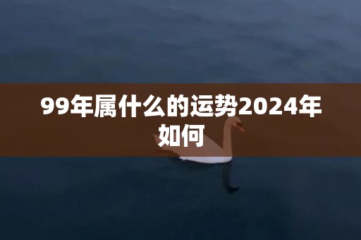 99年属什么的运势2024年如何
