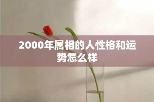 2000年属相的人性格和运势怎么样